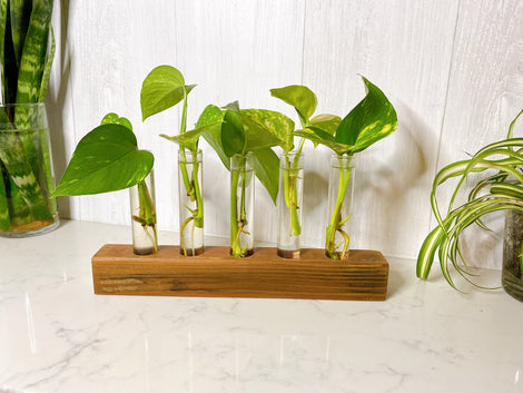 Planters and Propagation Vases