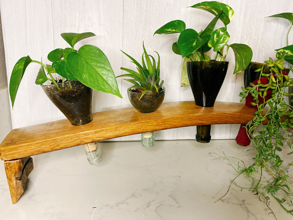 Wine barrel stave 5 plant succulent stand